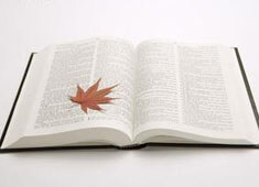 虎年起名字姓李怎么取好